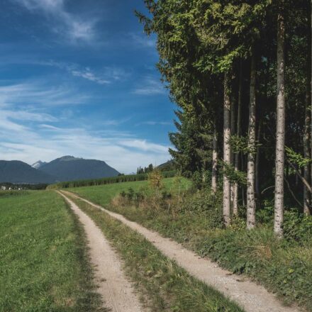 Freilandwege in Wildermieming