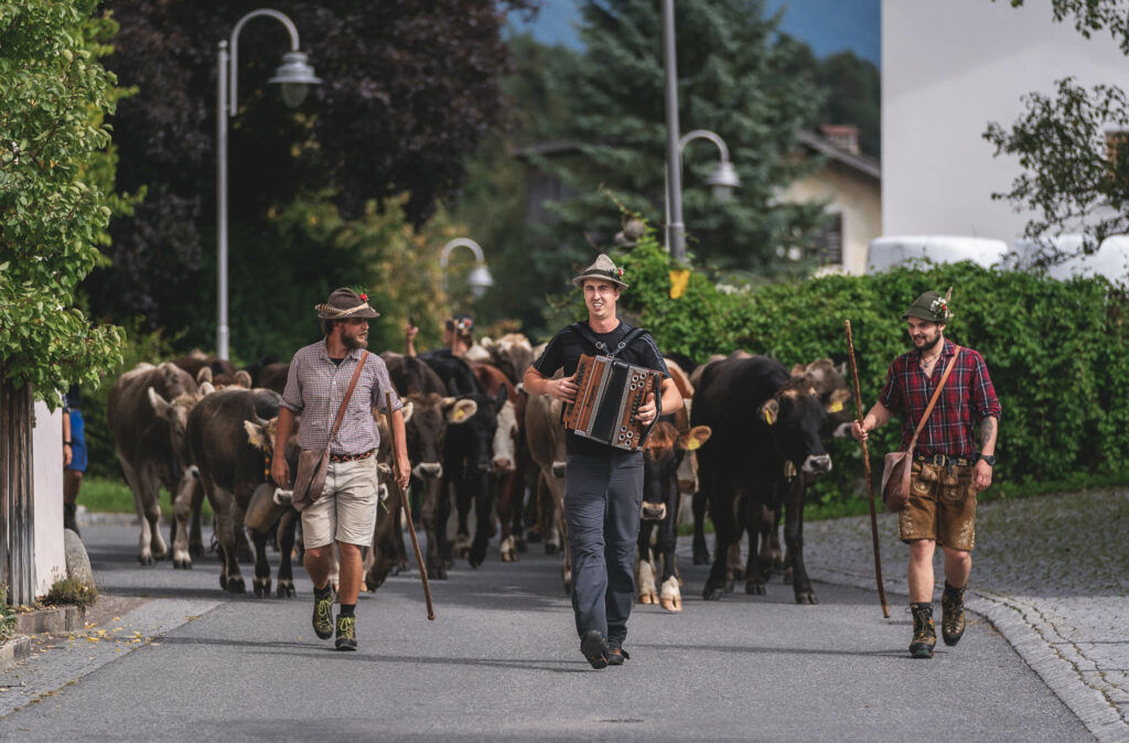 Almabtrieb Wildermieming