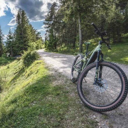 Wildermieming Mountainbike E-Bike