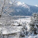 Wildermieminger Adventkalender 2024