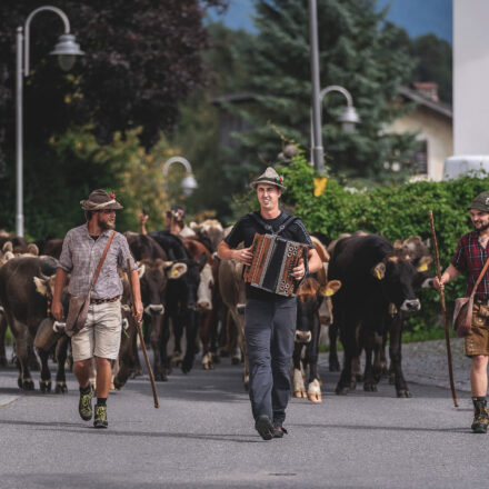 Almabtrieb in Wildermieming