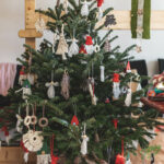 Mötzer Adventmarkt und Christbaumverkauf