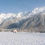 Adventfenster Schützen und Singkreis