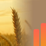 Gebietserntedank 2025 - Freitag