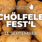 Schölfelerfest'l & Karaokeparty
