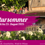 Kultursommer 2026
